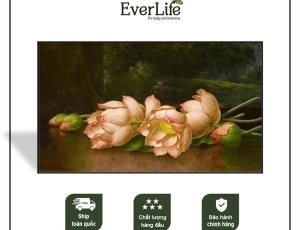 Tranh canvas - TH0115