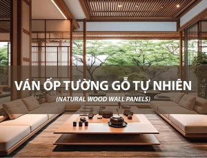 Ván ốp tường gỗ tự nhiên