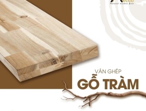 Ván ghép -Tràm