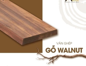 Ván ghép - Óc chó